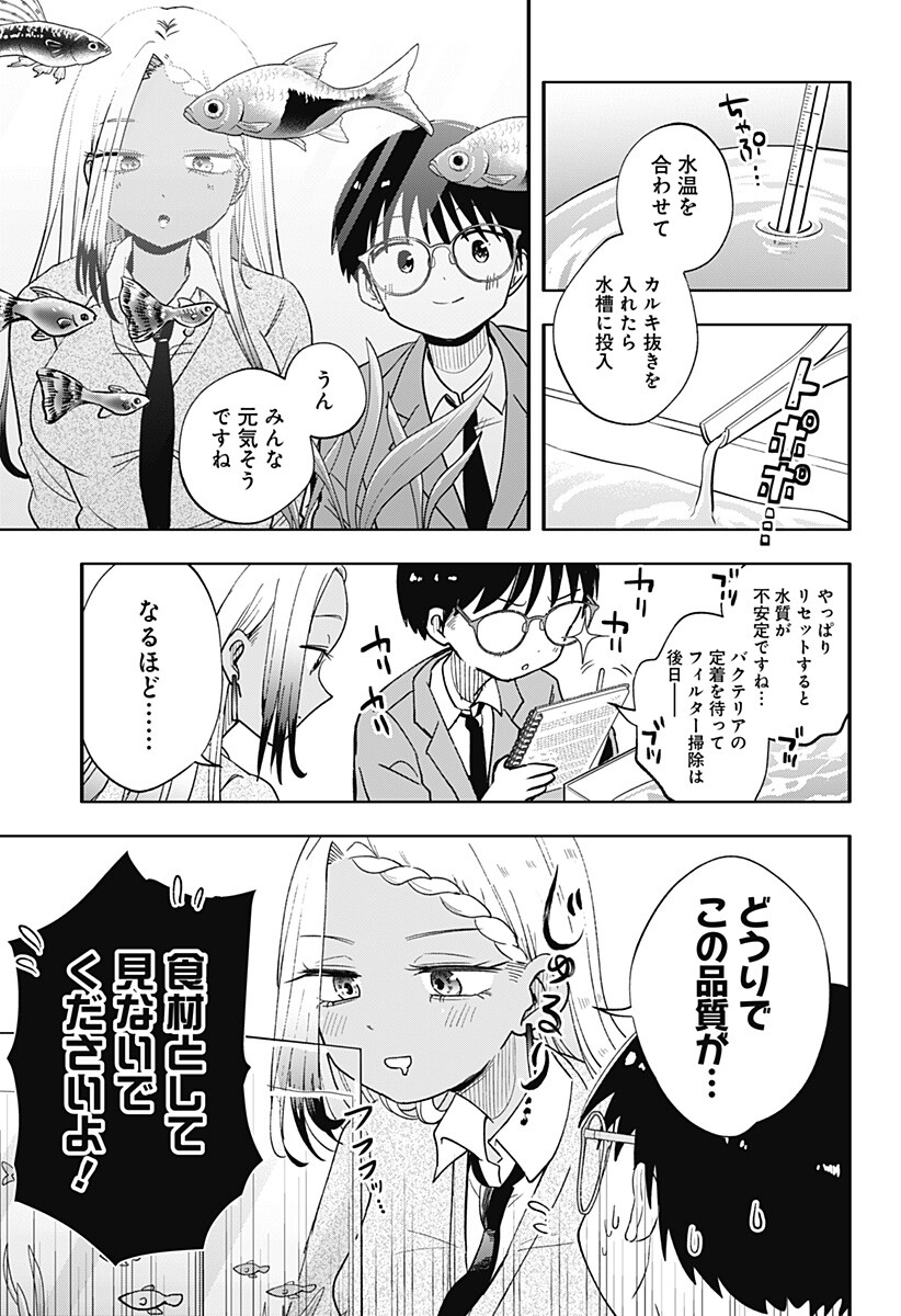 放課後アクアリウム Chapter 0 15ページ