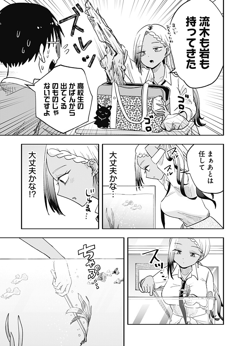 放課後アクアリウム Chapter 0 21ページ