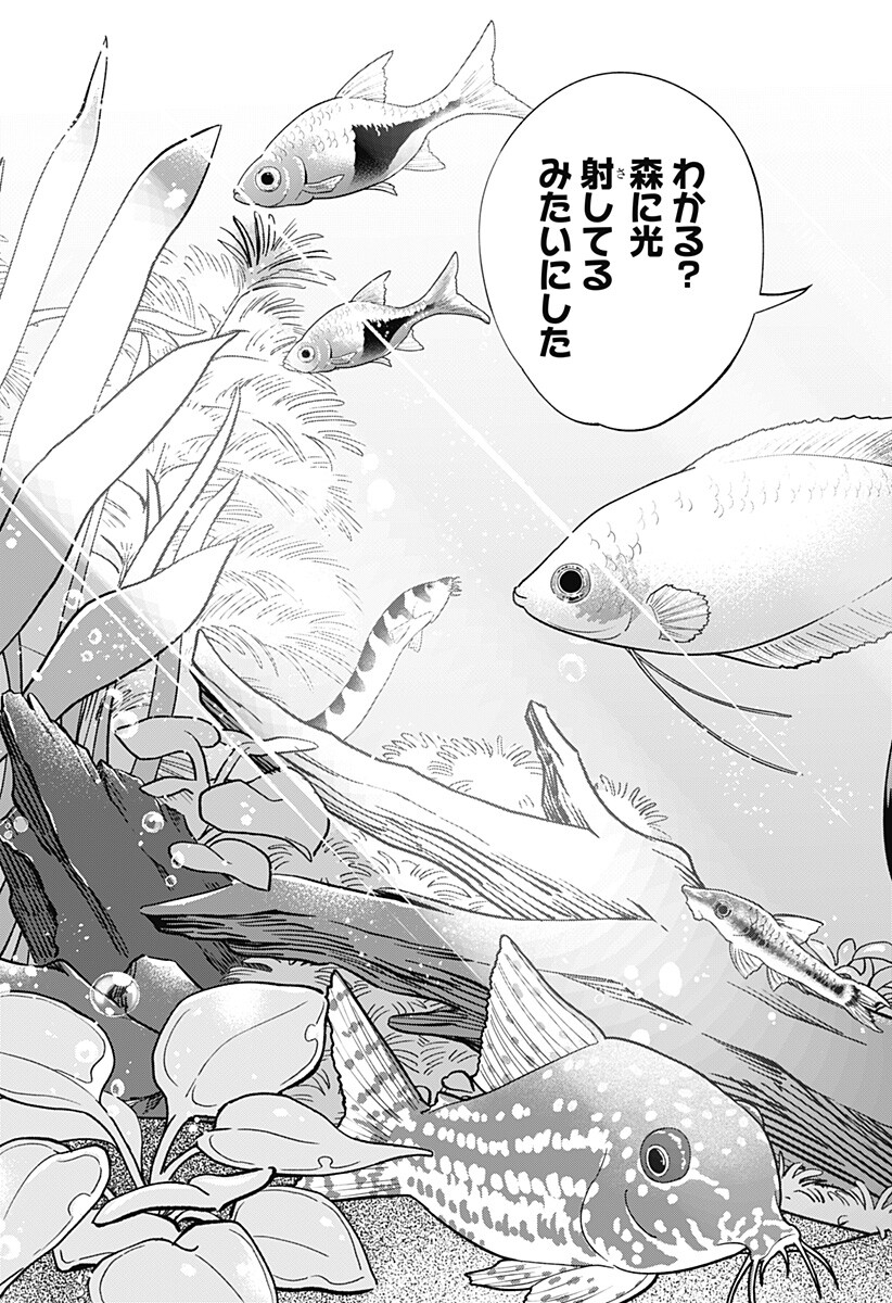 放課後アクアリウム Chapter 0 29ページ