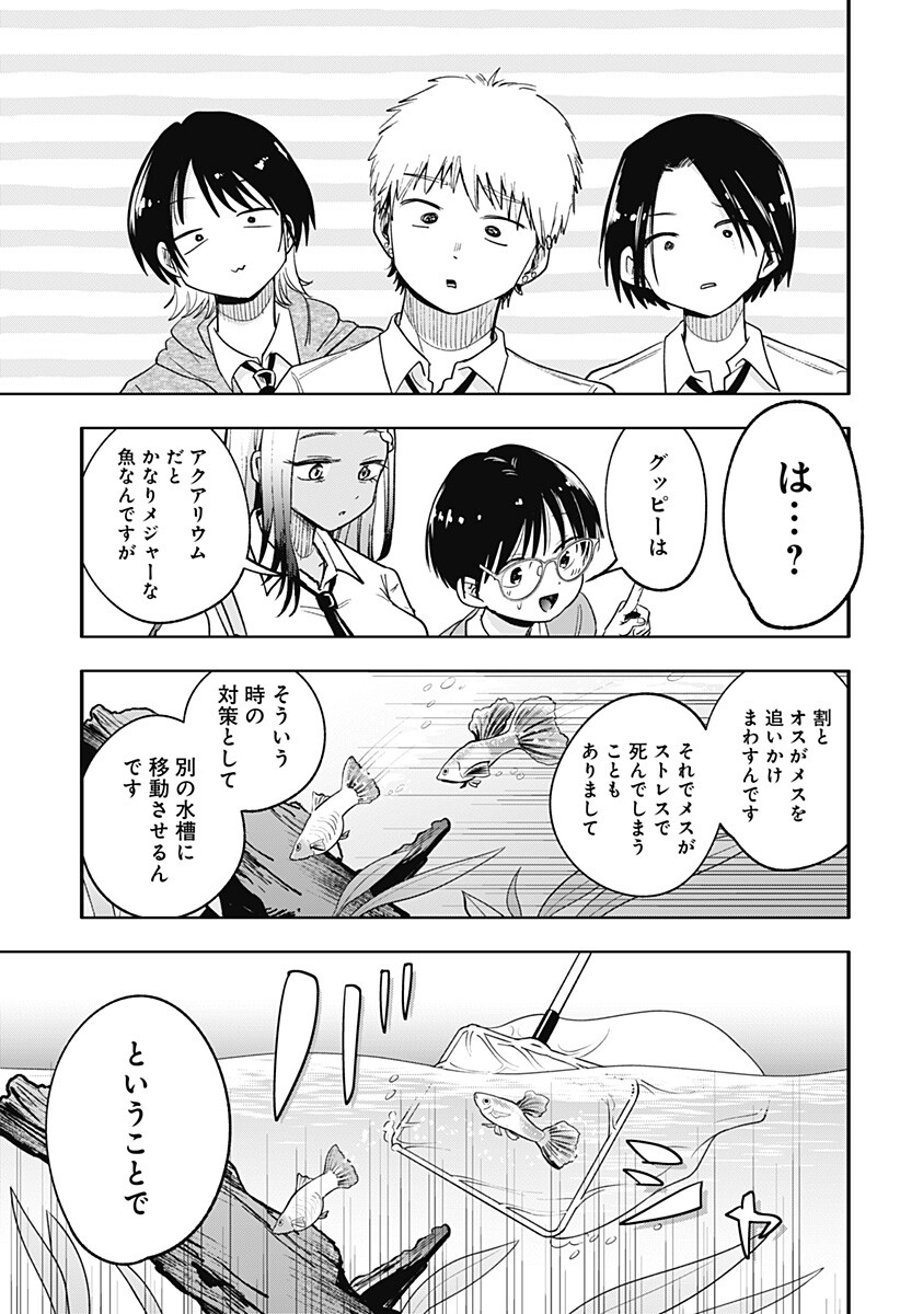 放課後アクアリウム Chapter 0 41ページ