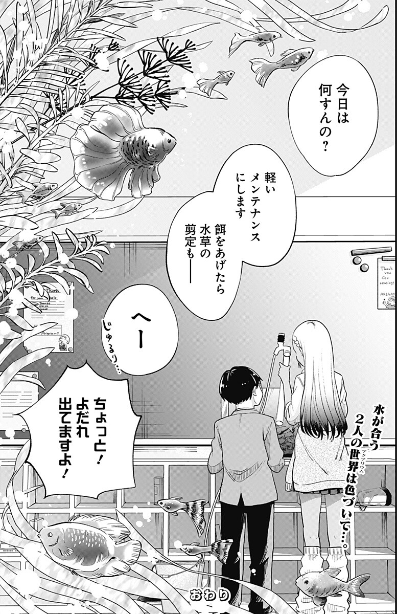 放課後アクアリウム Chapter 0 45ページ