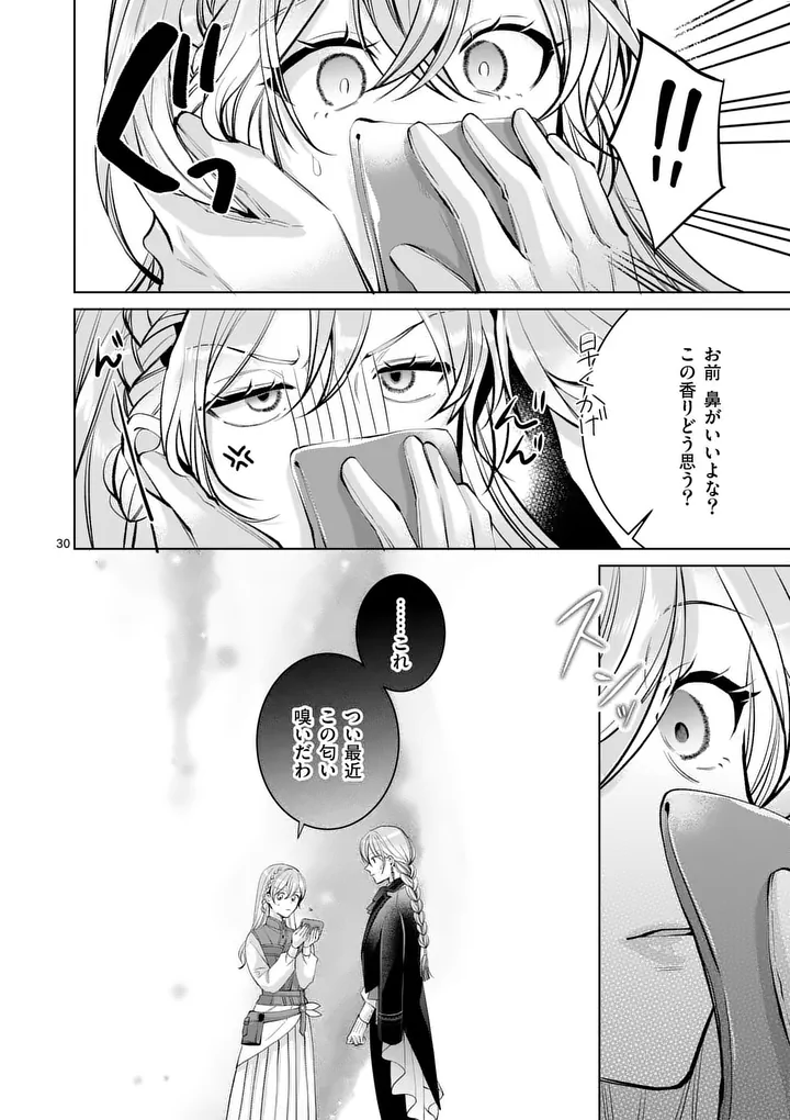 Majo no Biyaku wa Ikaga Deshou? Chapter 4.2 17ページ