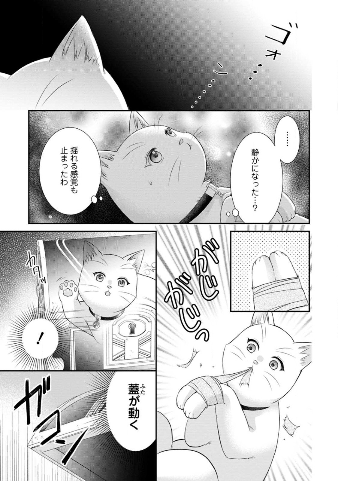 Noroi de Neko ni Sareta Akujo, Outaishi ni Hirowareru. Chapter 24.1 5ページ