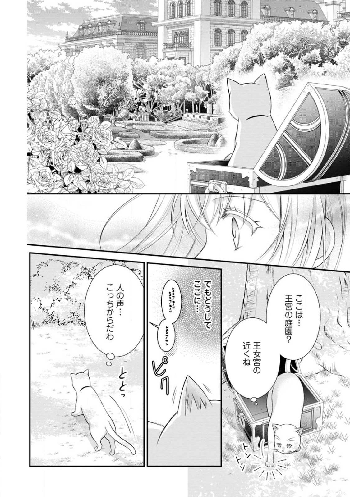 Noroi de Neko ni Sareta Akujo, Outaishi ni Hirowareru. Chapter 24.1 6ページ