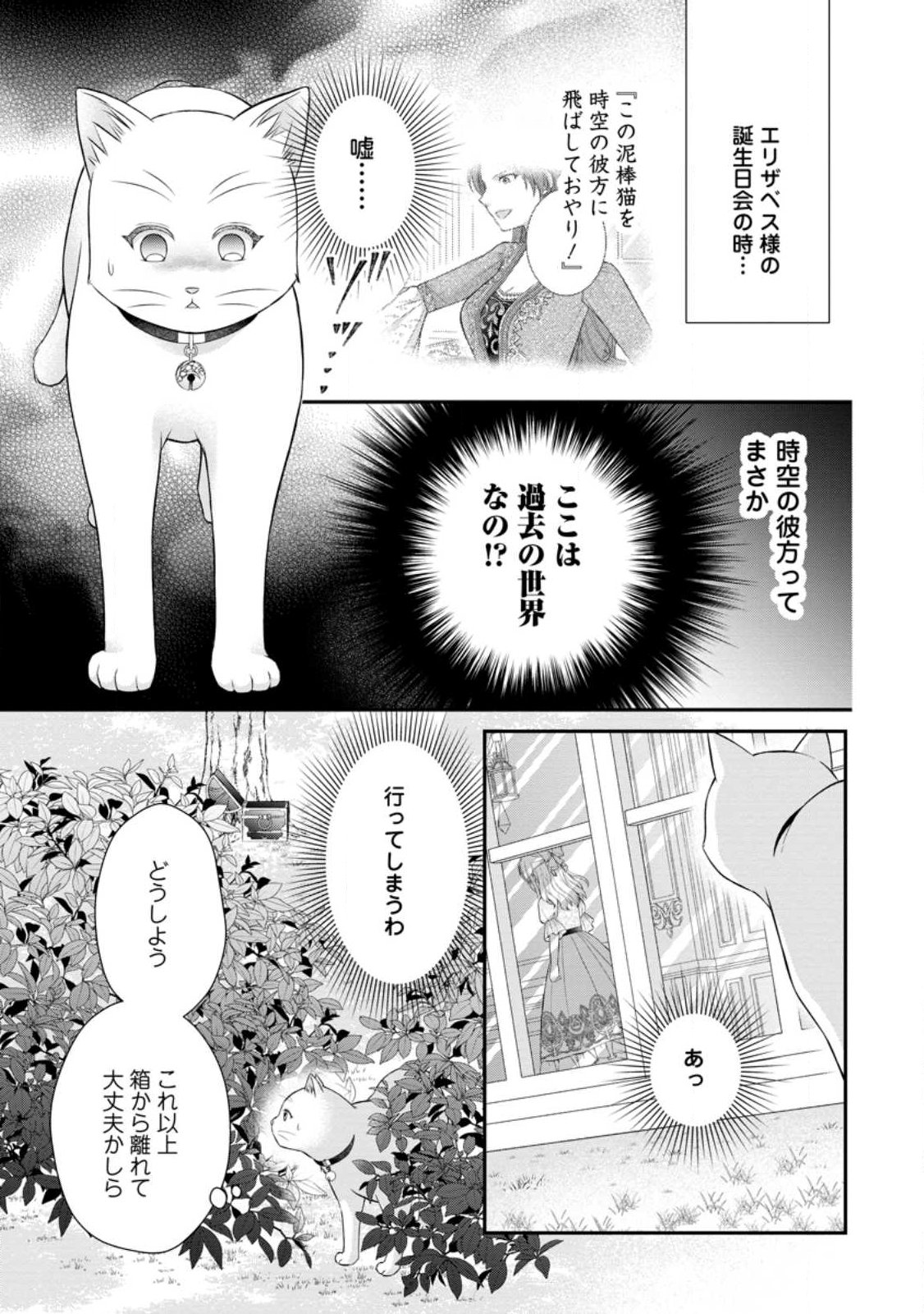 Noroi de Neko ni Sareta Akujo, Outaishi ni Hirowareru. Chapter 24.1 9ページ