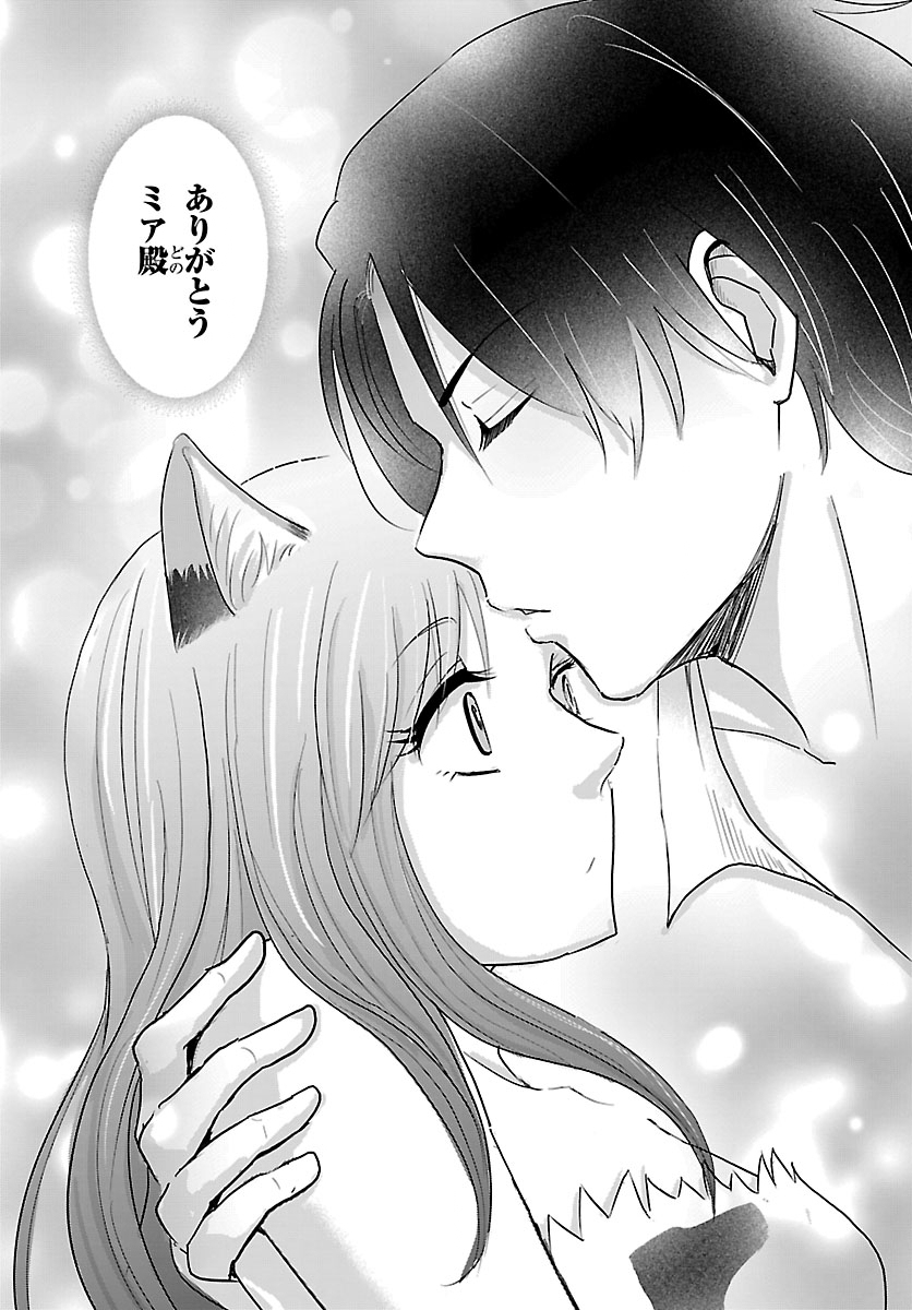 Tensei Shita Mikeneko wa Ouji to Gyokuza no Yume o Miru Chapter 10.2 2ページ