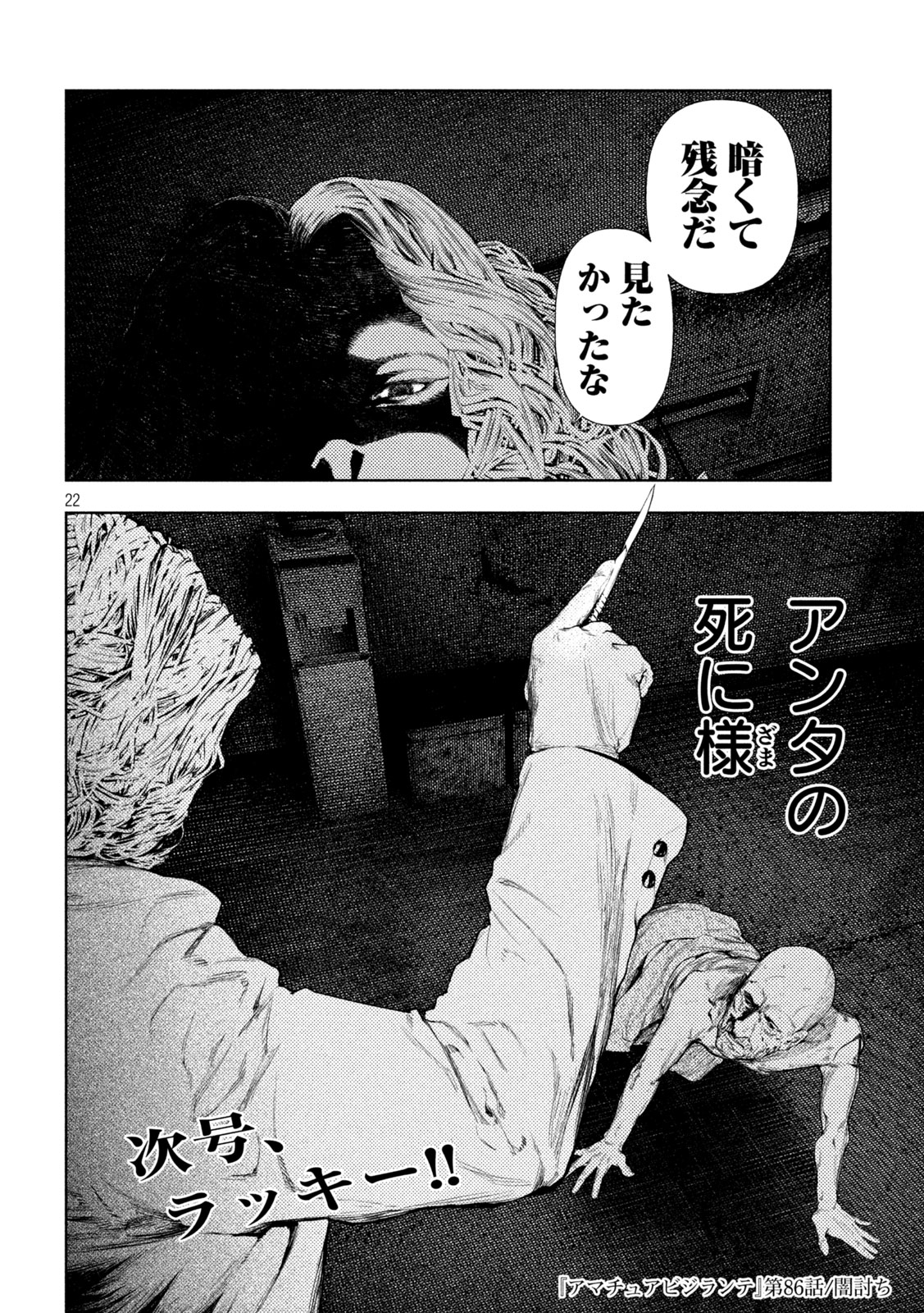 Amateur Vigilante Chapter 86 20ページ