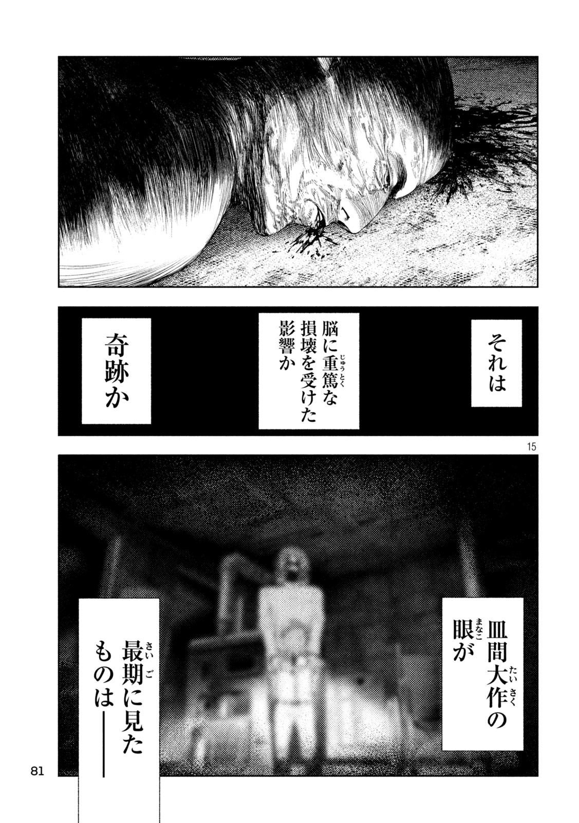 Amateur Vigilante Chapter 87 15ページ