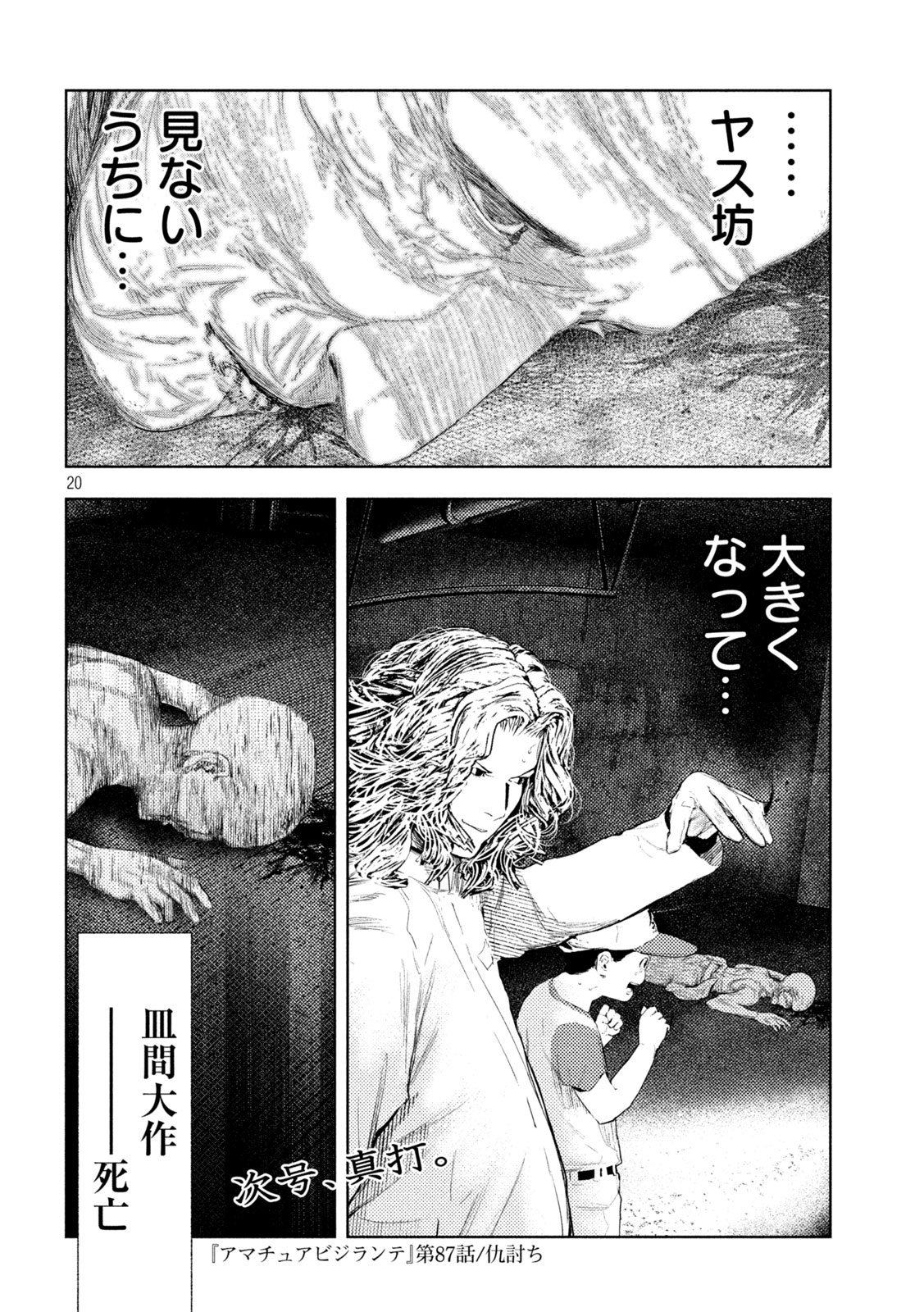 Amateur Vigilante Chapter 87 20ページ