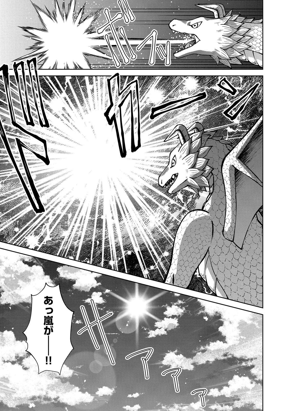 Botsuraku Yotei no Kizoku dakedo, Hima datta kara Mahou wo Kiwamete Mita Chapter 61.1 17ページ