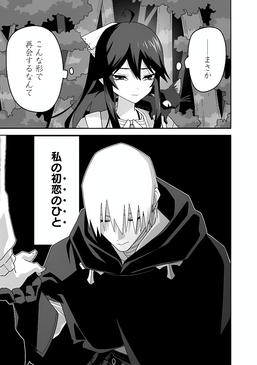 Kuroneko no Akuyaku Reijou Chapter 3 27ページ