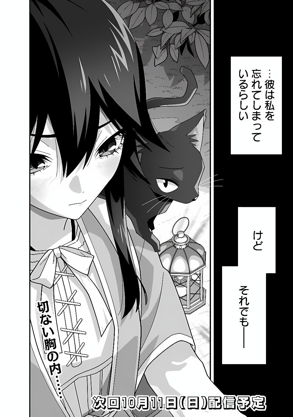 Kuroneko no Akuyaku Reijou Chapter 3 28ページ