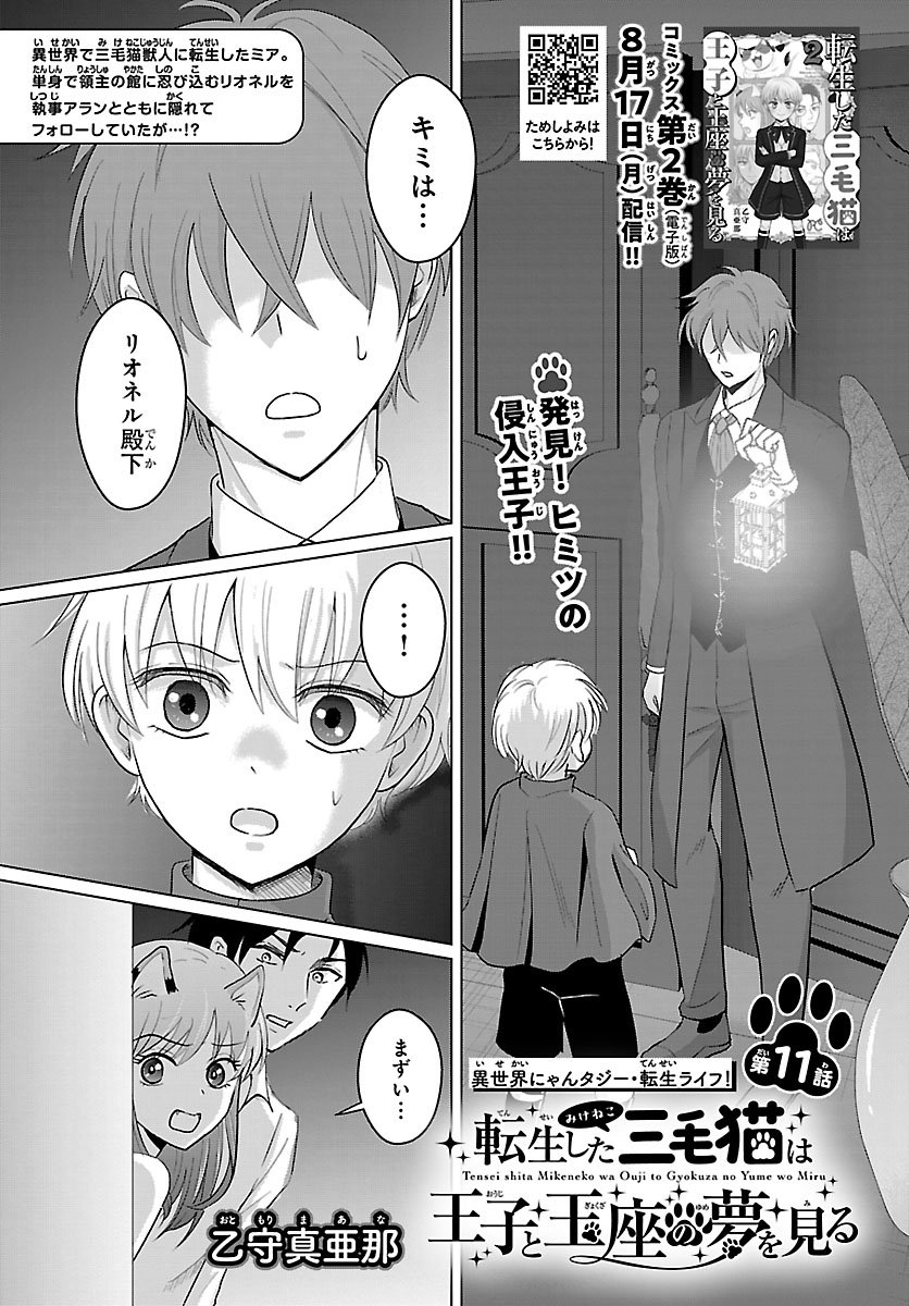 Tensei Shita Mikeneko wa Ouji to Gyokuza no Yume o Miru Chapter 11.1 1ページ