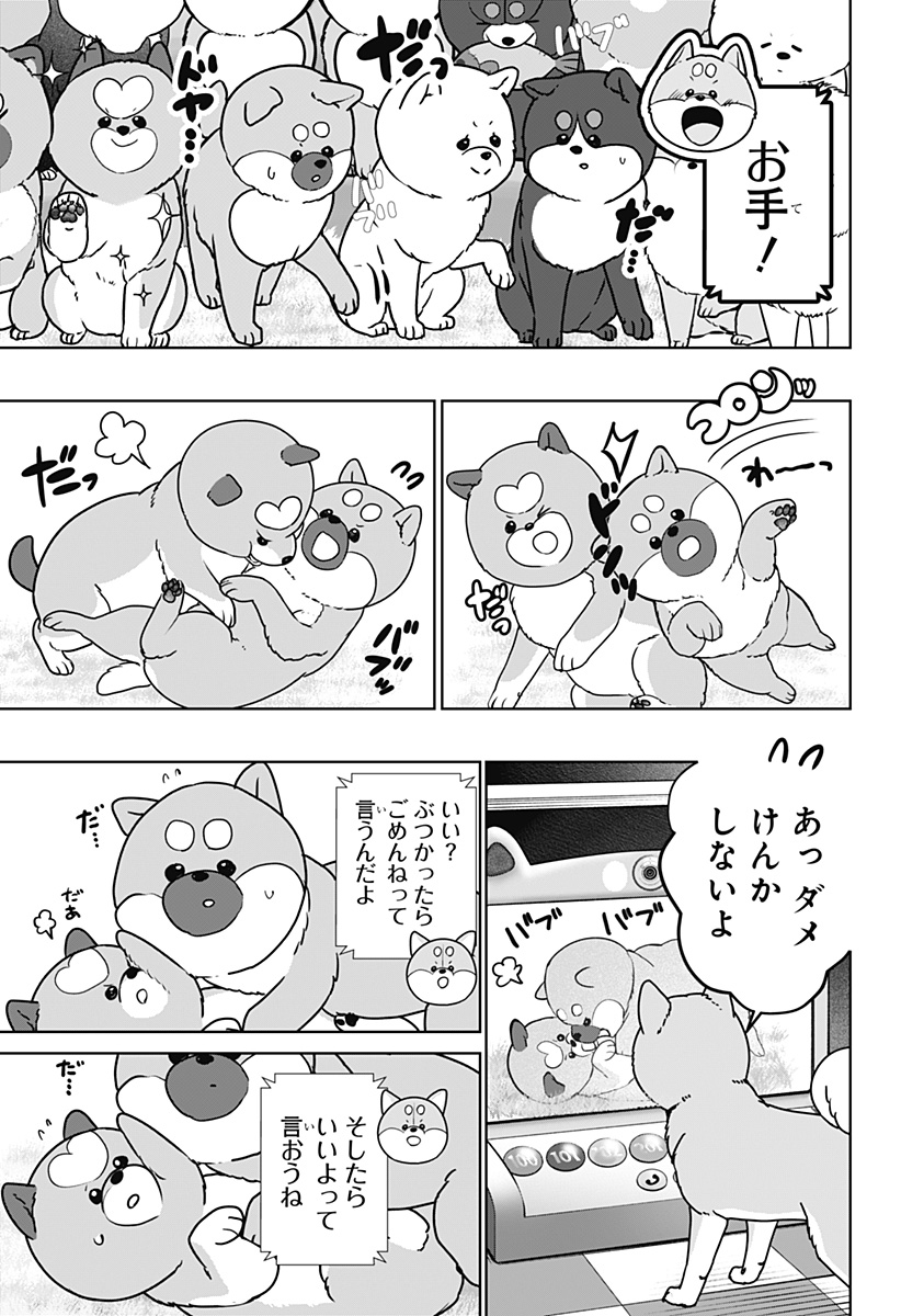 Shiba-Tsuki Bukken Chapter 61 11ページ