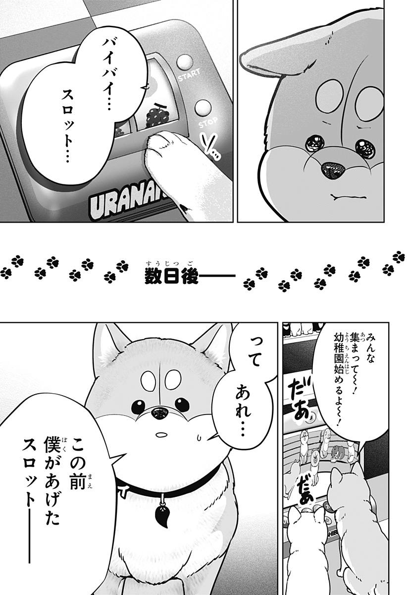 Shiba-Tsuki Bukken Chapter 61 17ページ