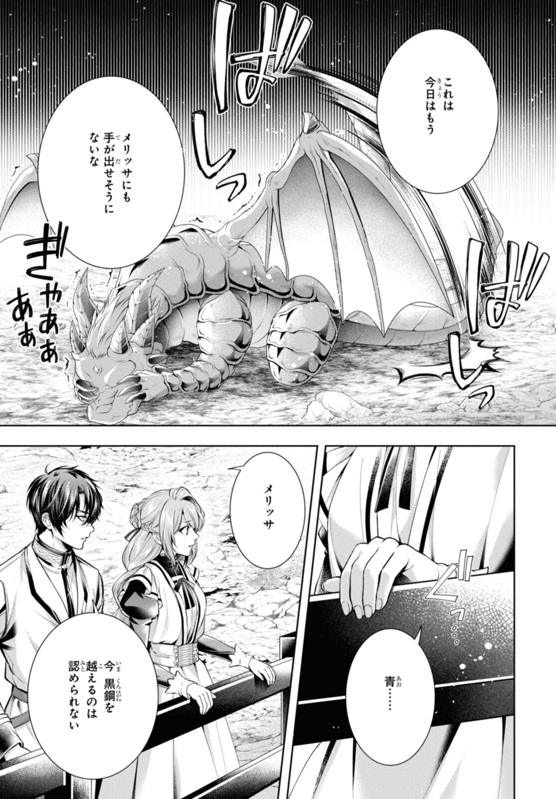 Ryuu Kishi no Okiniiri Chapter 36.2 9ページ