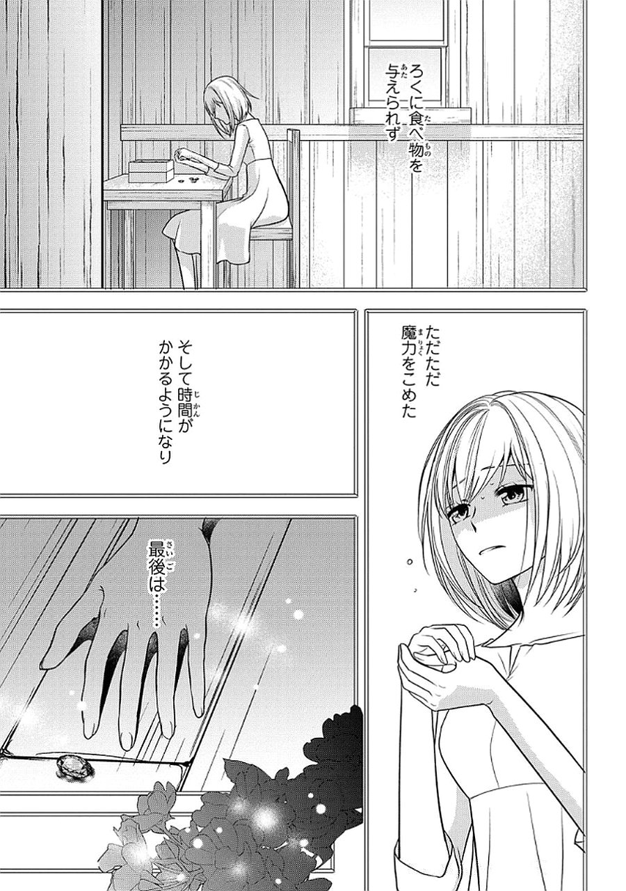 Boukun na Ane ni Suteraretara, Koushaku Kakka ni Hirowaremashita Chapter 8 31ページ