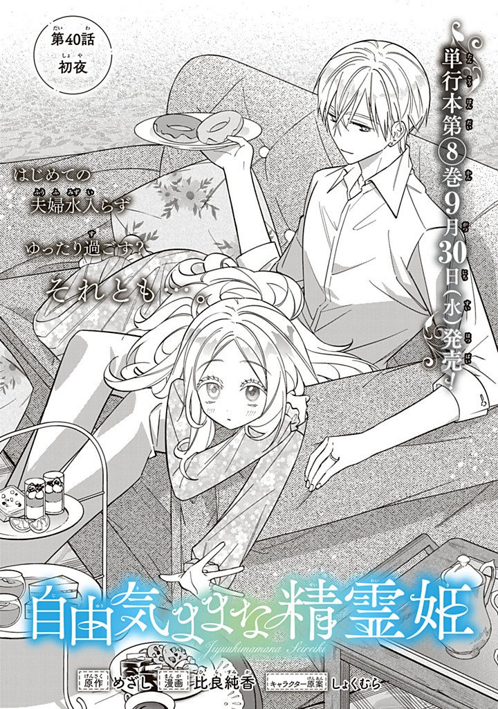 Jiyuu Kimama na Seireihime Chapter 40.1 1ページ