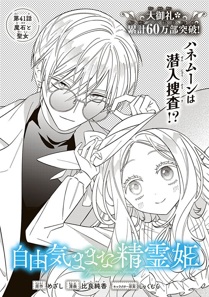 Jiyuu Kimama na Seireihime Chapter 41.1 1ページ