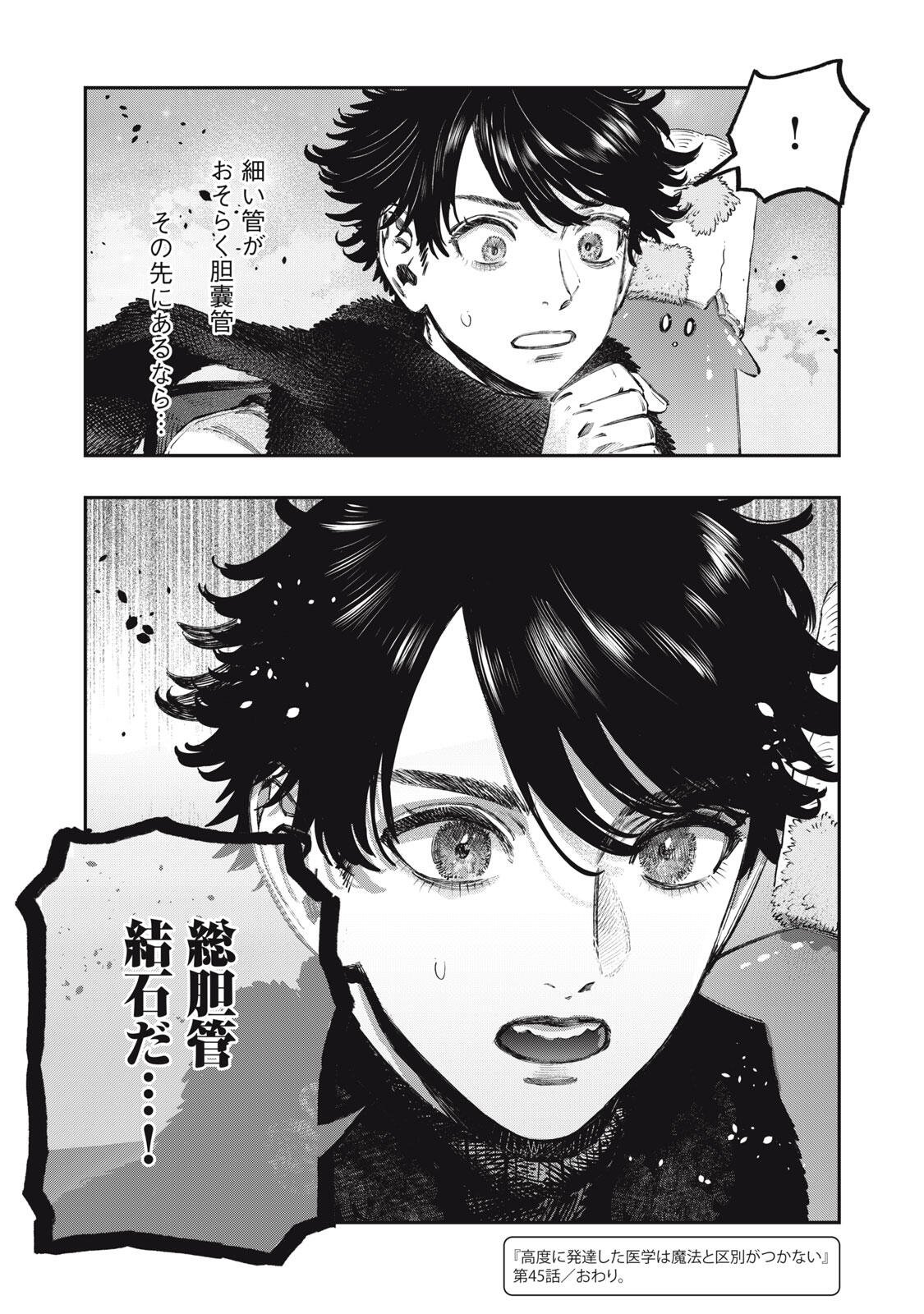 Koudou ni Hattatsu Shita Igaku wa Mahou to Kubetsu ga Tsukanai Chapter 45.2 23ページ