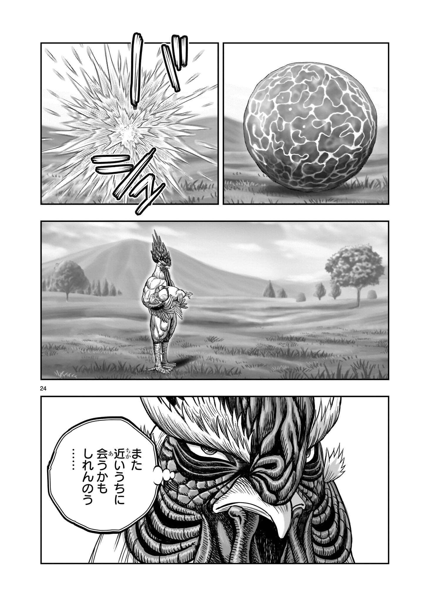 Niwatori Fighter Chapter 63.2 12ページ