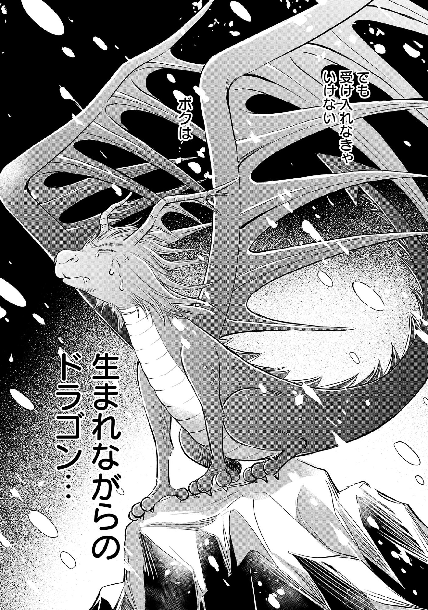Yasashii Konyakusha no Yousu ga Hen Desu Chapter 18.1 10ページ