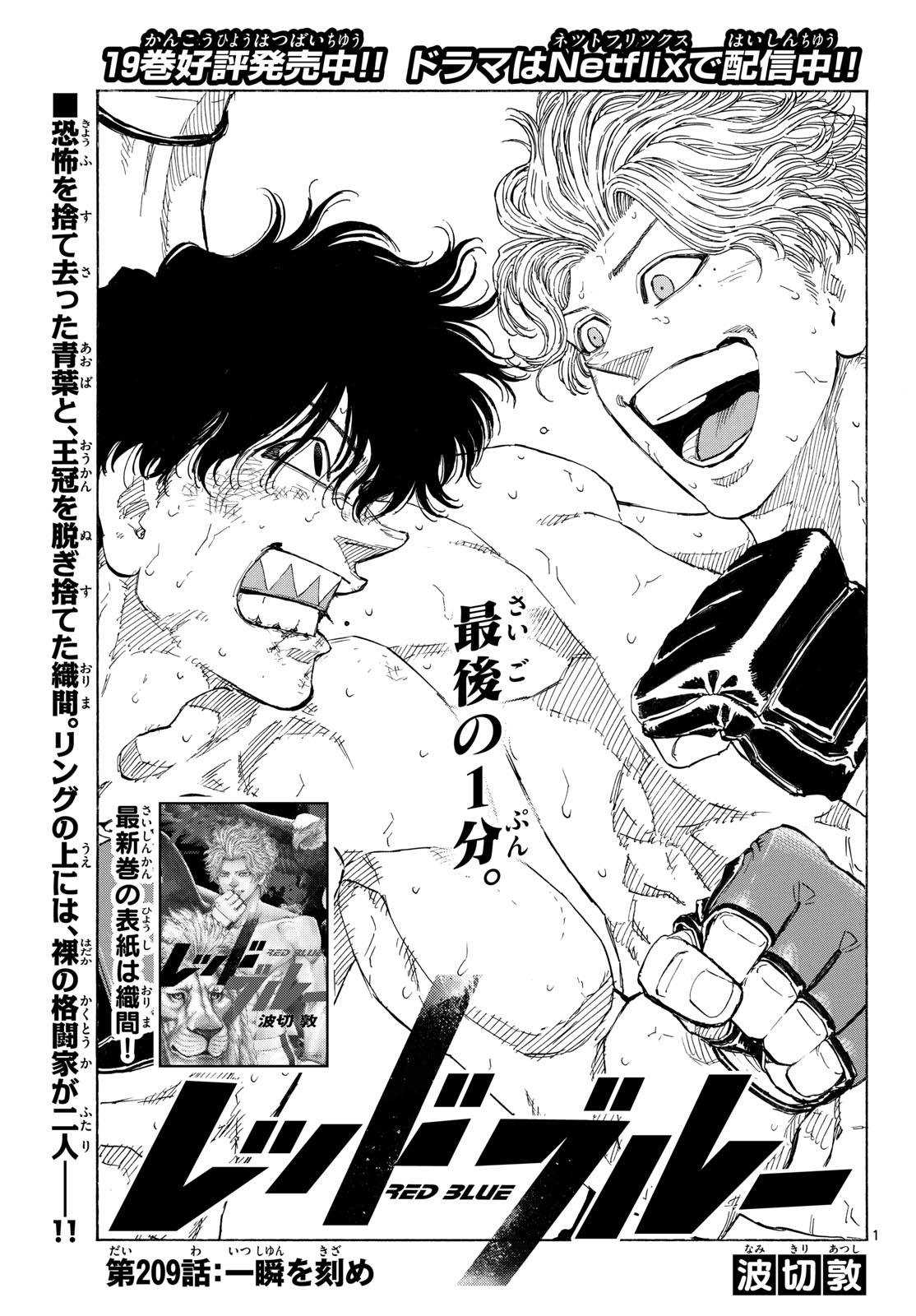 Red Blue Chapter 209 1ページ