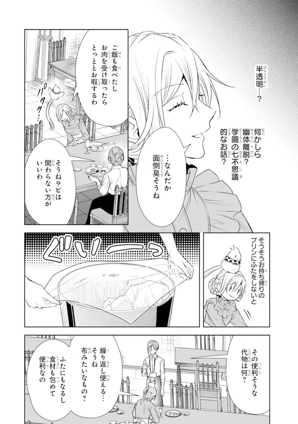 Kitai no Akujo, Sandome no Jinsei de "Musai Munou" wo Tanoshimu Chapter 24.2 5ページ