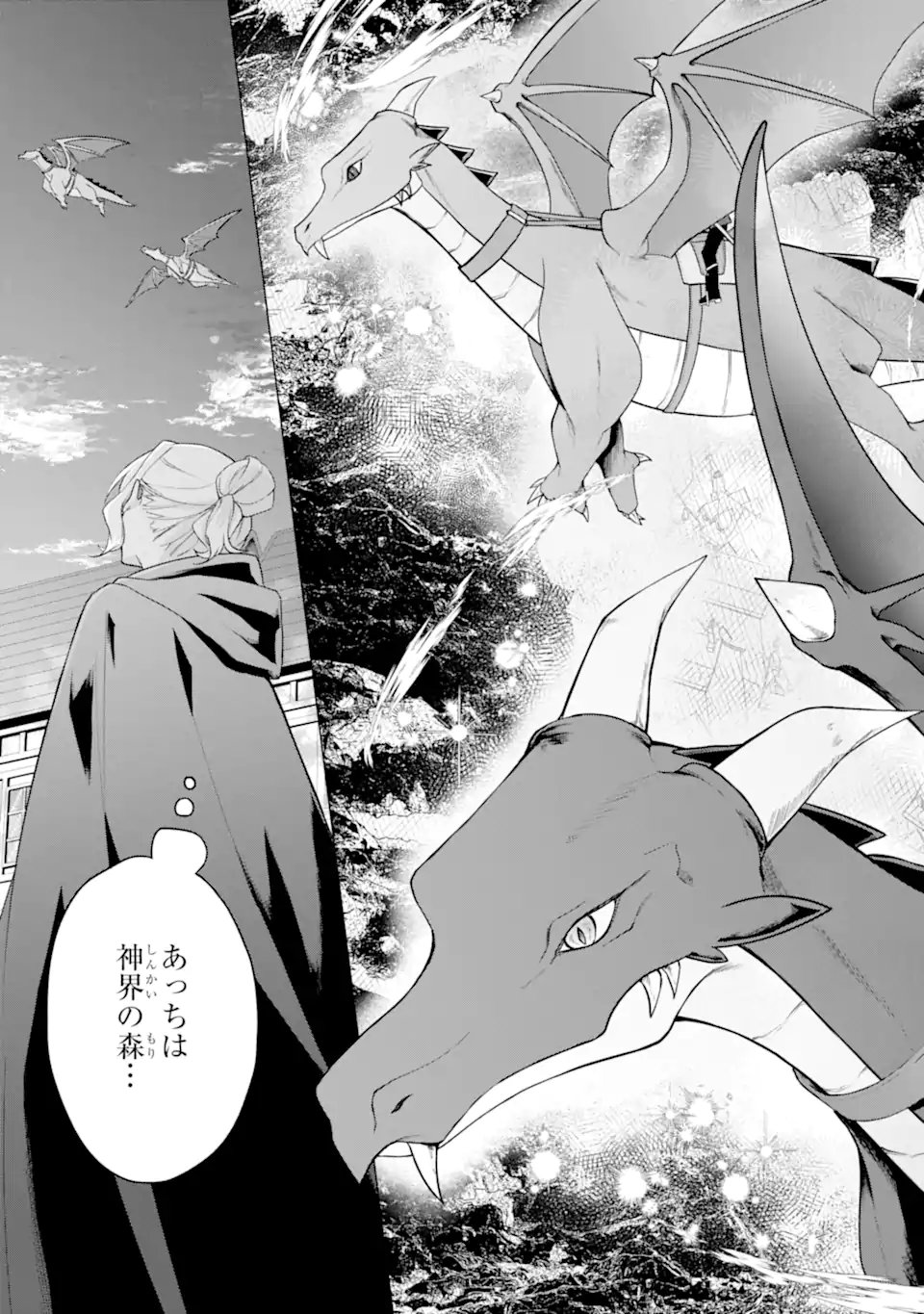 Wakeari Koushaku Reijou no Toubou Keikaku - Haraguro Ryuukishi Denka no Shuuchaku Ai ga Omosa Sugite Nigerareru Ki ga Shimasen - Chapter 2.3 6ページ