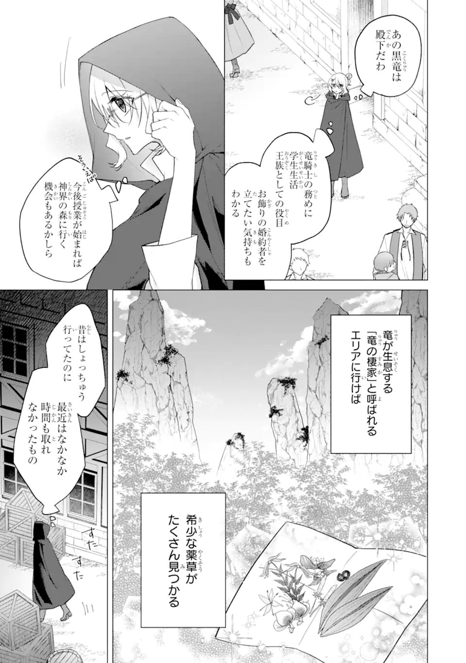 Wakeari Koushaku Reijou no Toubou Keikaku - Haraguro Ryuukishi Denka no Shuuchaku Ai ga Omosa Sugite Nigerareru Ki ga Shimasen - Chapter 2.3 8ページ