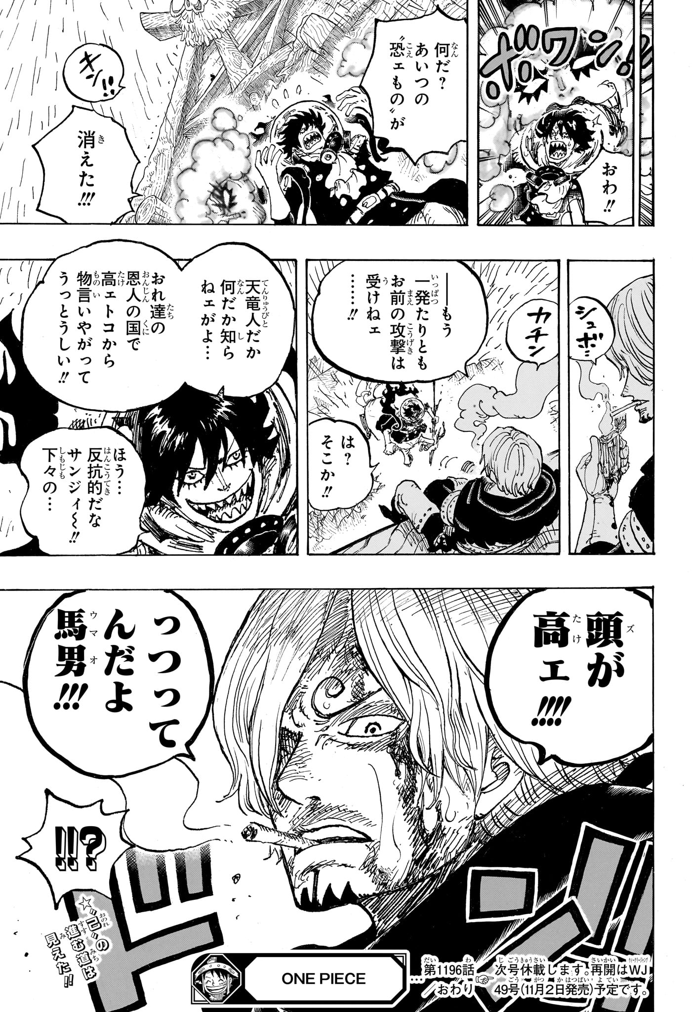 One Piece Chapter 1196 17ページ