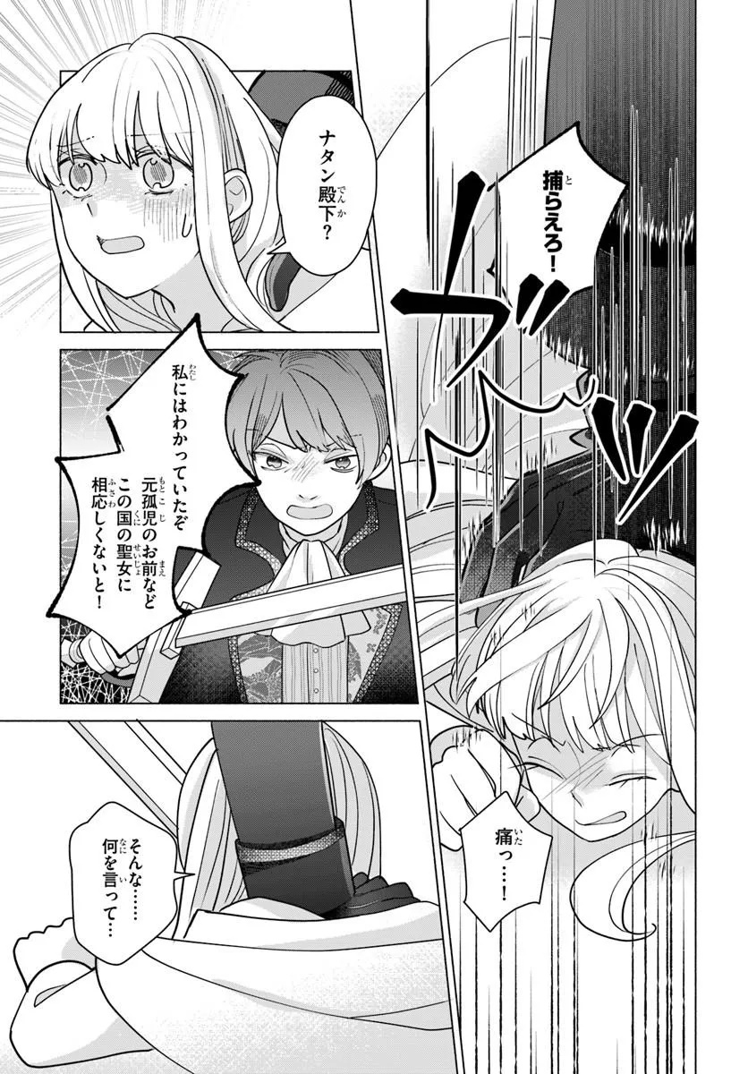 Shokei Sareta Seijo desu ga Koujo ni Tensei shite Onii-sama-tachi ni Dekiai Sareteimasu Chapter 1 23ページ