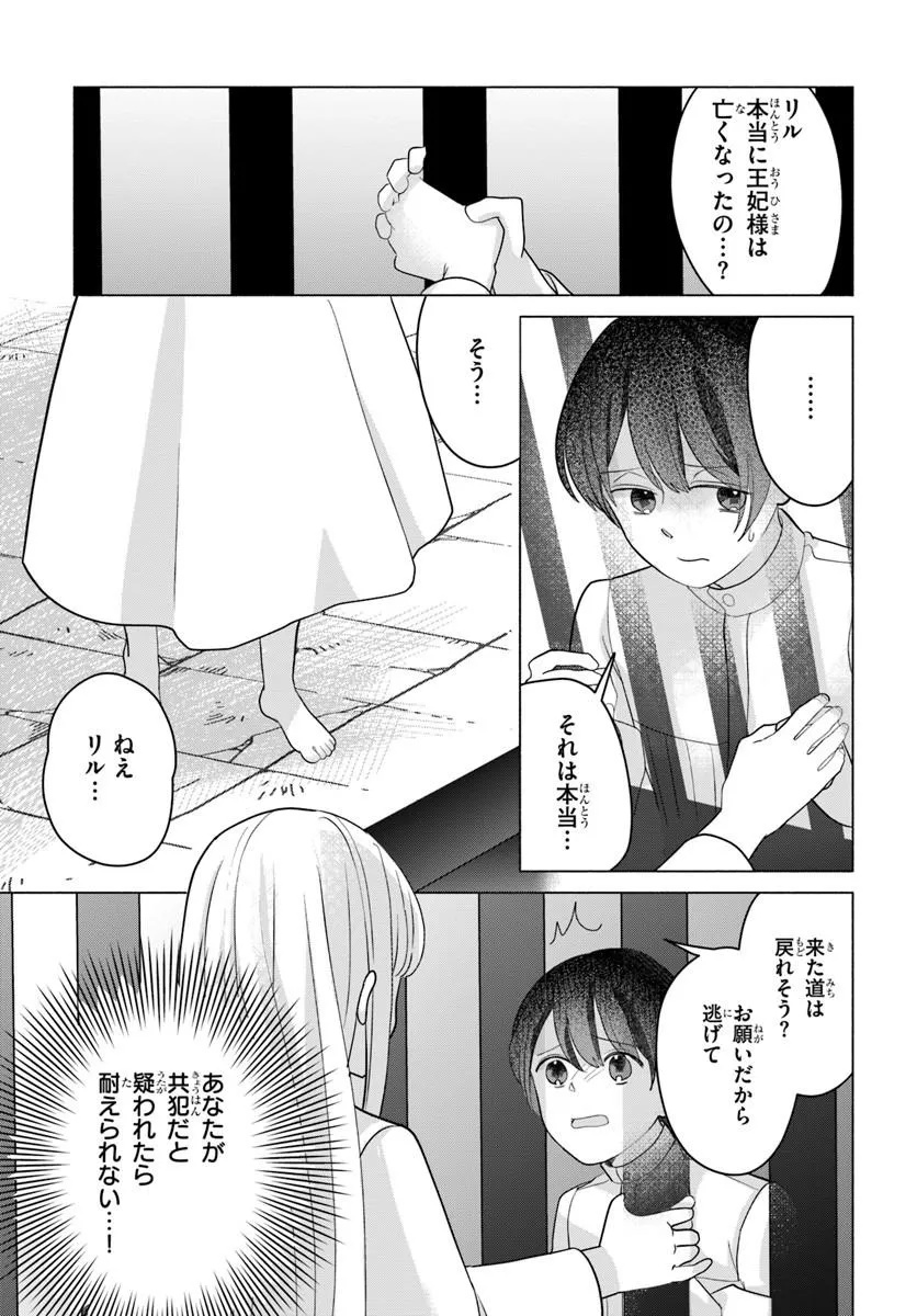 Shokei Sareta Seijo desu ga Koujo ni Tensei shite Onii-sama-tachi ni Dekiai Sareteimasu Chapter 1 29ページ
