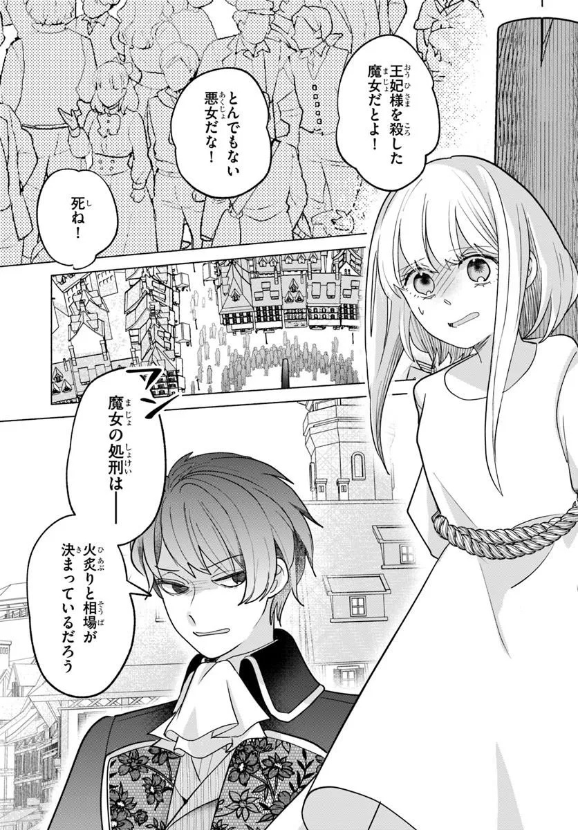 Shokei Sareta Seijo desu ga Koujo ni Tensei shite Onii-sama-tachi ni Dekiai Sareteimasu Chapter 1 33ページ