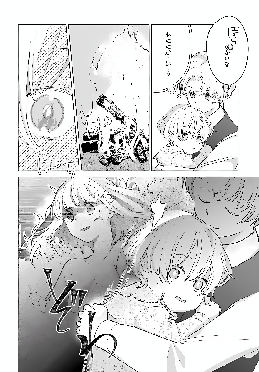 Shokei Sareta Seijo desu ga Koujo ni Tensei shite Onii-sama-tachi ni Dekiai Sareteimasu Chapter 2 24ページ