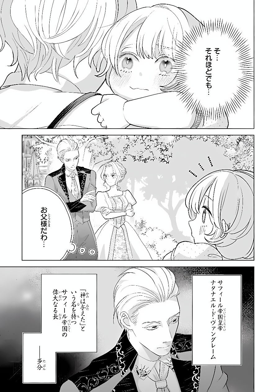 Shokei Sareta Seijo desu ga Koujo ni Tensei shite Onii-sama-tachi ni Dekiai Sareteimasu Chapter 2 29ページ