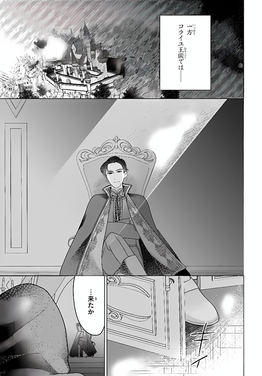 Shokei Sareta Seijo desu ga Koujo ni Tensei shite Onii-sama-tachi ni Dekiai Sareteimasu Chapter 2 37ページ