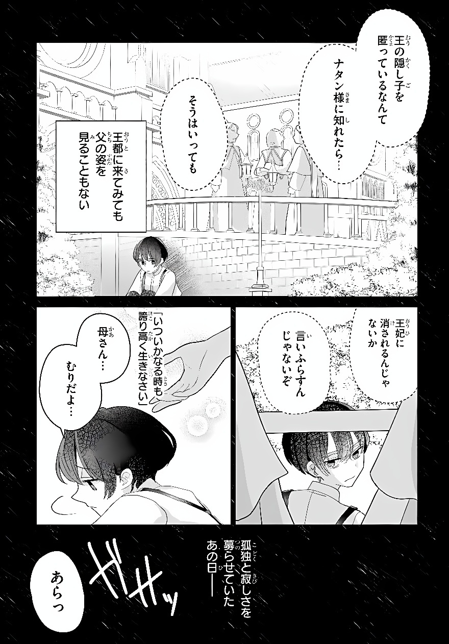 Shokei Sareta Seijo desu ga Koujo ni Tensei shite Onii-sama-tachi ni Dekiai Sareteimasu Chapter 3 9ページ