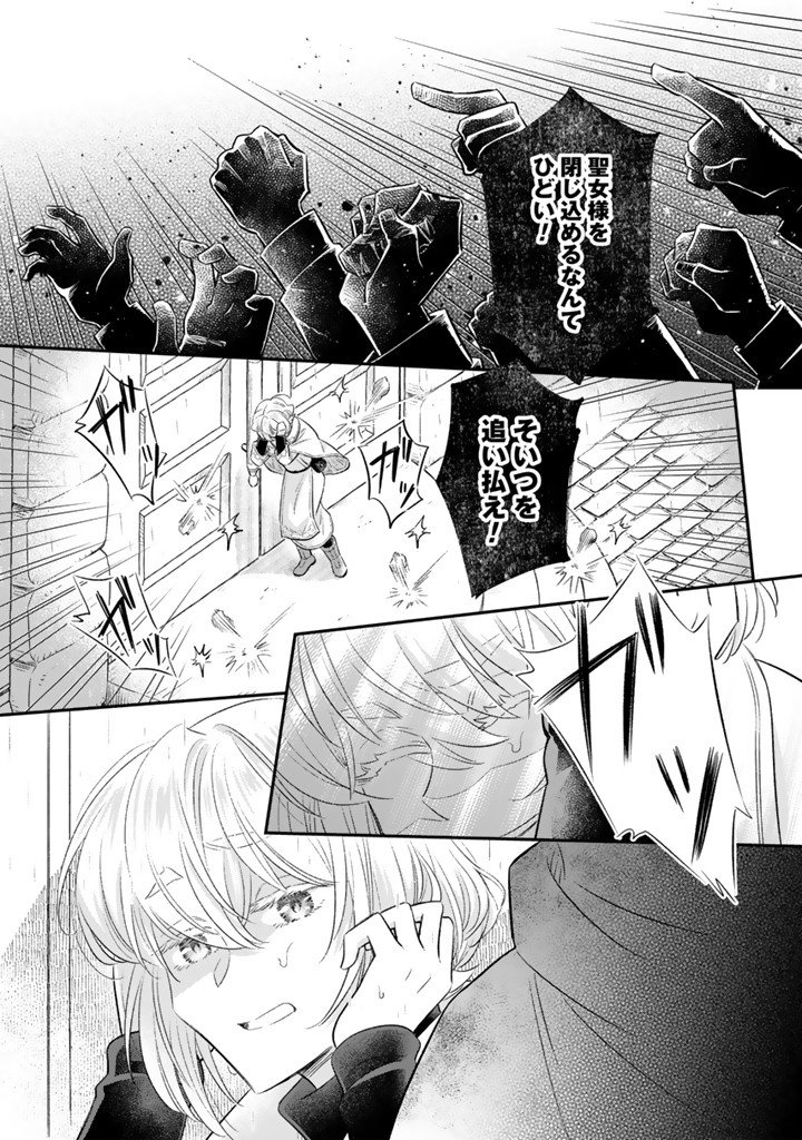 Zense Seijo datta Watashi wa Kusushi ni narimashita Chapter 28.2 7ページ