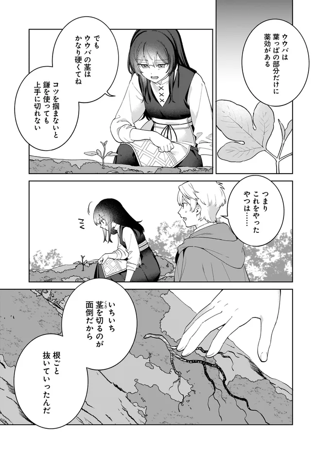Kusuri Uri no Seijo - Enzai de Tsuihousareta Yakushi wa, Henkyou no Ji de Shiawase wo Tsukamu Chapter 16.1 3ページ