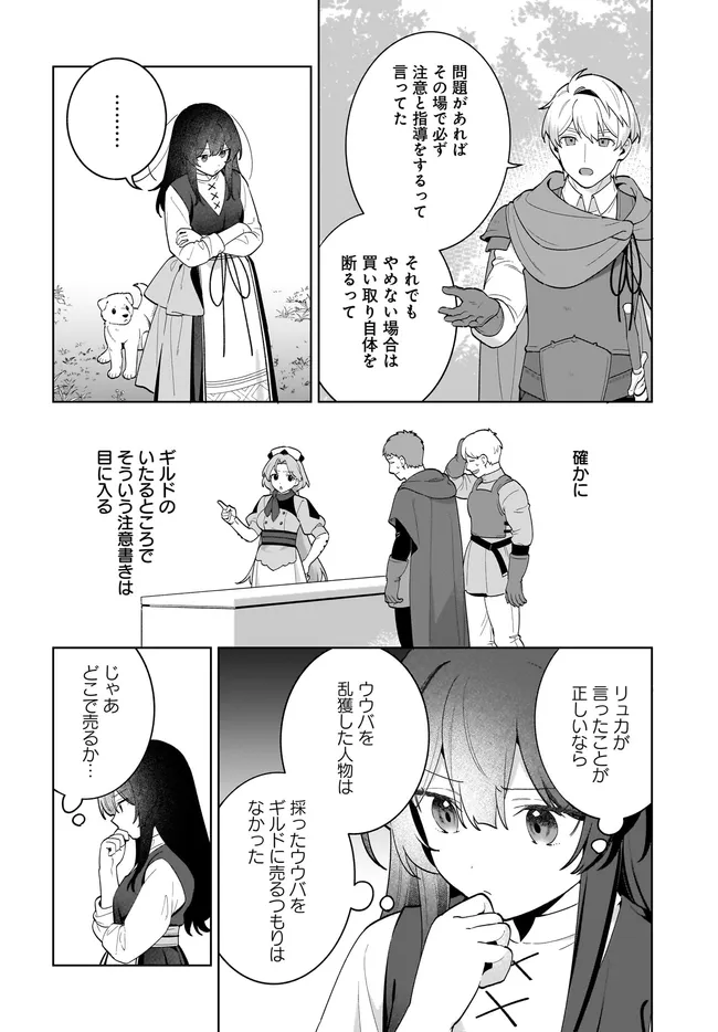 Kusuri Uri no Seijo - Enzai de Tsuihousareta Yakushi wa, Henkyou no Ji de Shiawase wo Tsukamu Chapter 16.1 6ページ