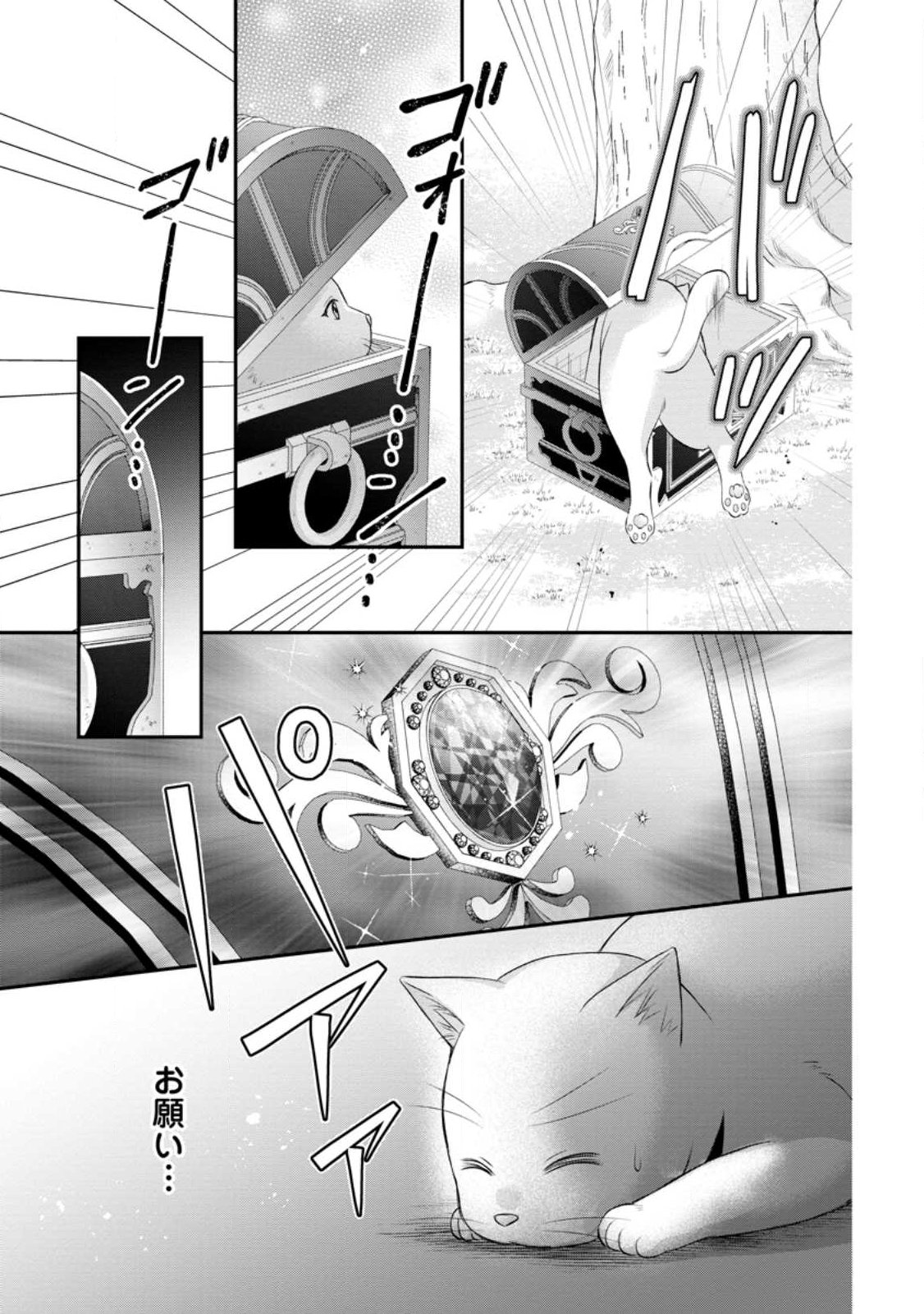 Noroi de Neko ni Sareta Akujo, Outaishi ni Hirowareru. Chapter 25.1 7ページ