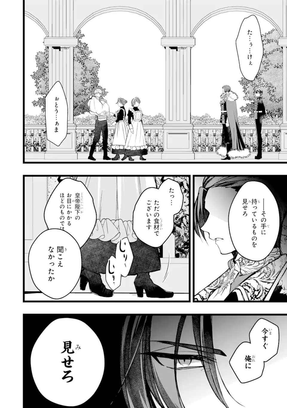 Aku no Koujo wa Mou dare mo Korosanai Chapter 15.1 10ページ