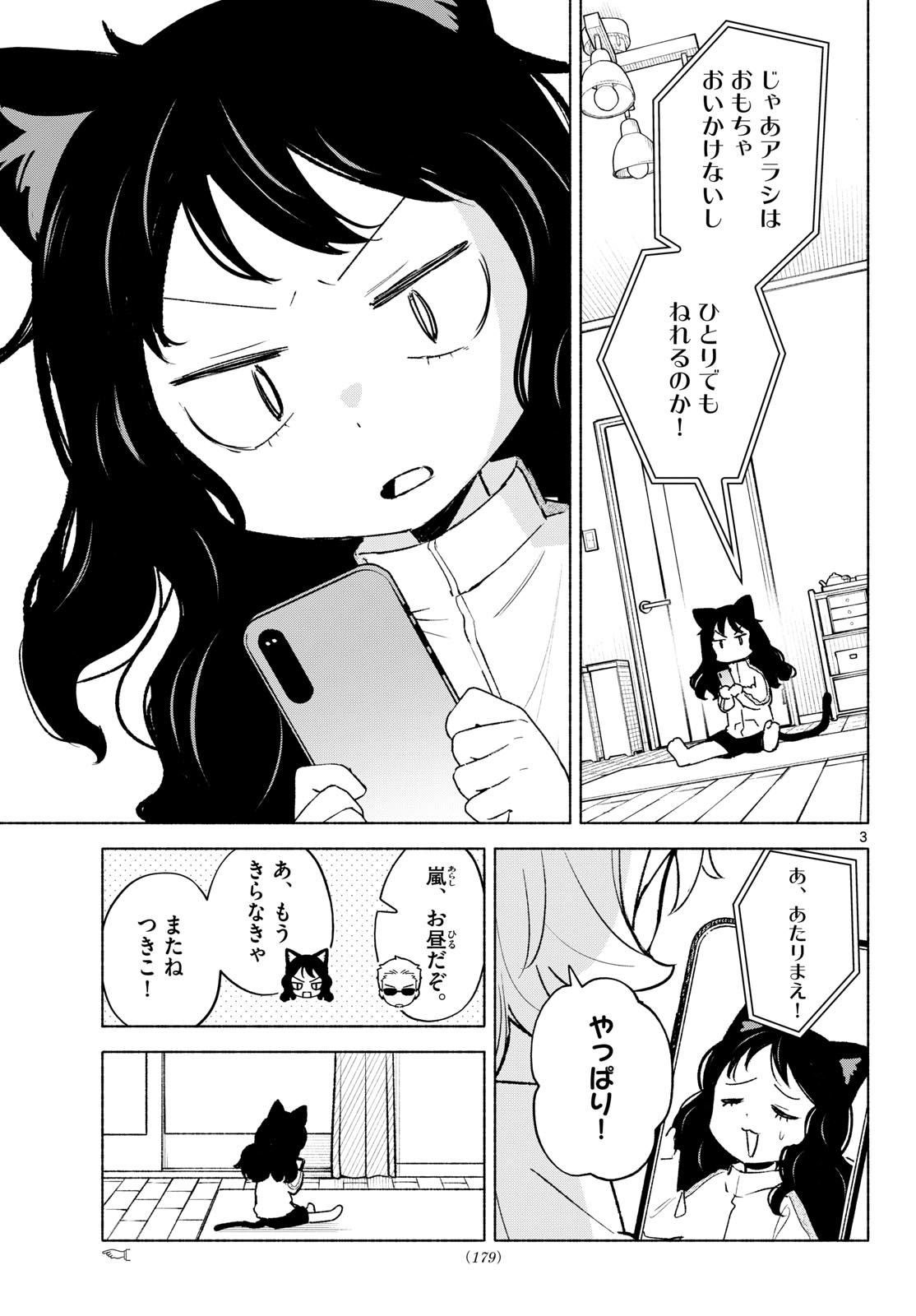 Shippo to Gekirin Chapter 25.5 3ページ