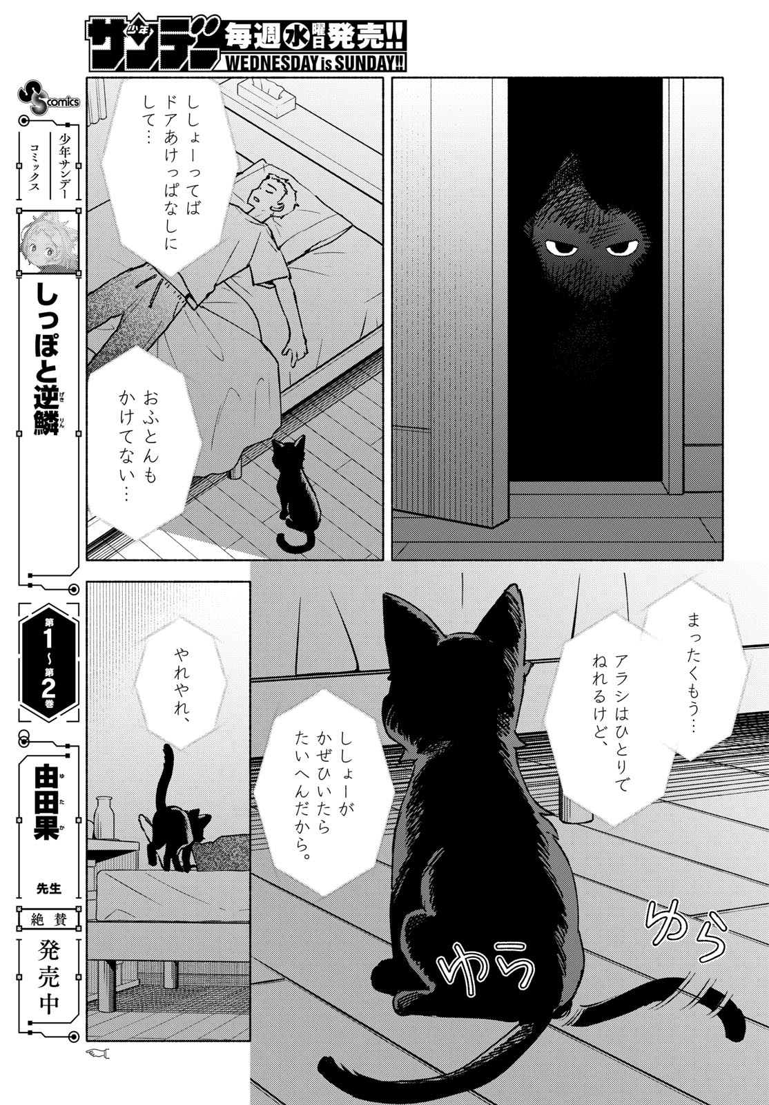 Shippo to Gekirin Chapter 25.5 9ページ
