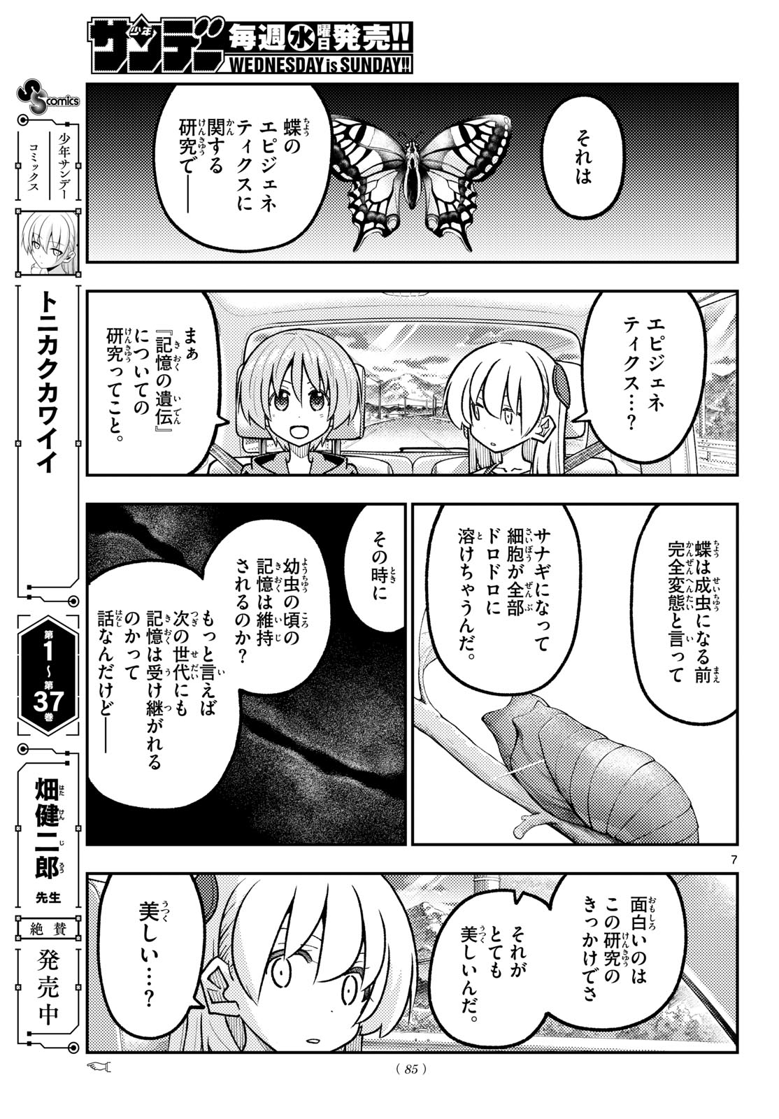 Tonikaku Kawaii Chapter 363 7ページ