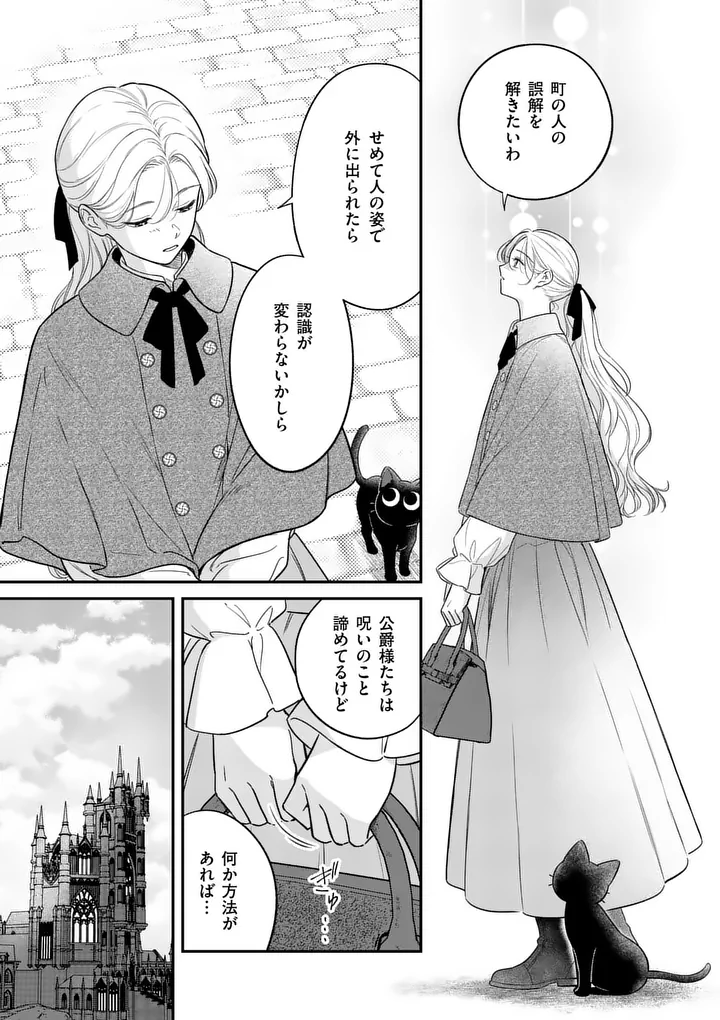 Kaibutsu Ouji no Itoshii Majo Chapter 4.5 11ページ