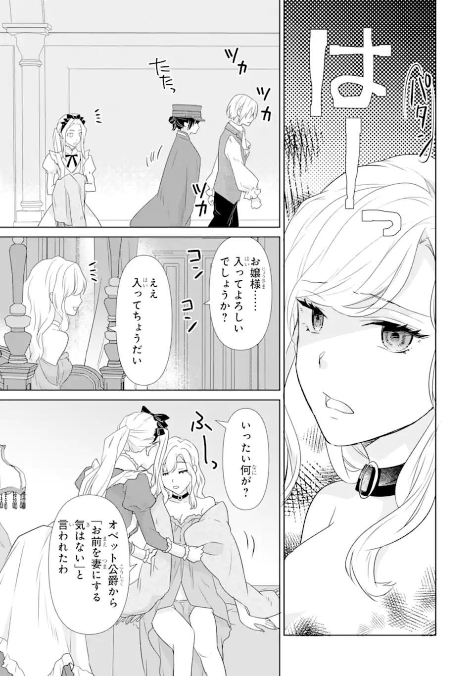 Totsuida Aite ni wa, Eien ni Aisuru Hito ga Imashita Chapter 1 25ページ