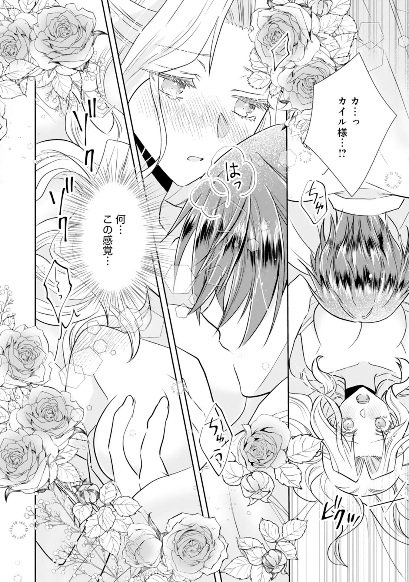 Suterare Reijou wa, Kemono na Jiki Kokuou ni Dekiaisareru Chapter 11 4ページ