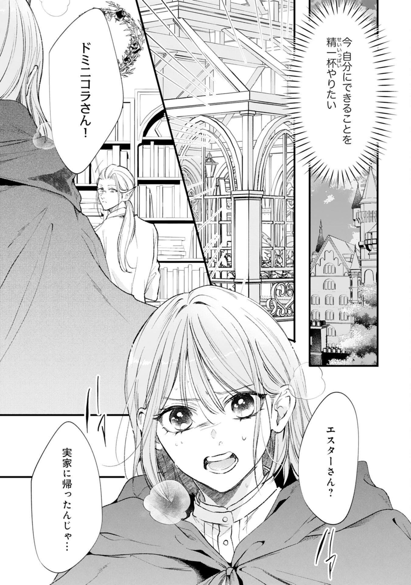 Akujo no Retteru wo Harareta Tsuihou Reijou desu ga, Saikyou Heika no Dekiai ni Tsukamarimashita Chapter 19 5ページ